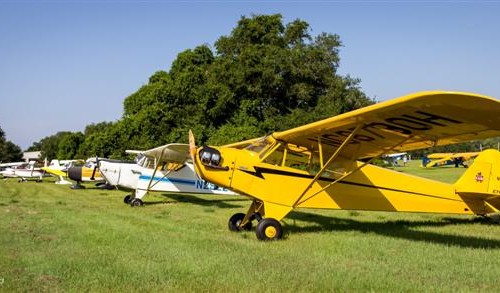 Fisher Dakota Hawk