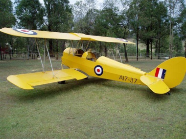tiger-moth-16