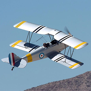 tigert-moth
